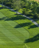 Thick, green lawn fed with Sigma