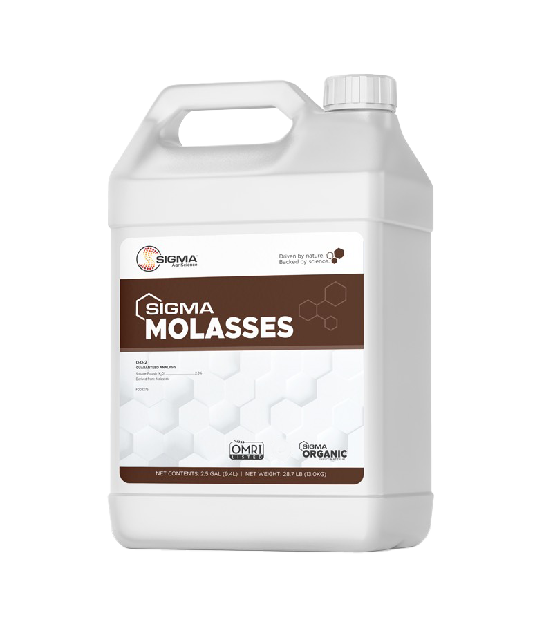 Sigma Molasses