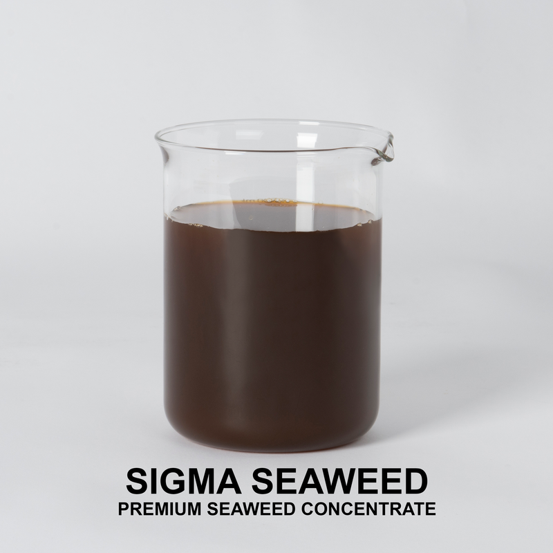 SIGMA SEAWEED